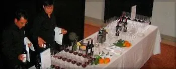 Hotel Oca Aldeaduero 4*